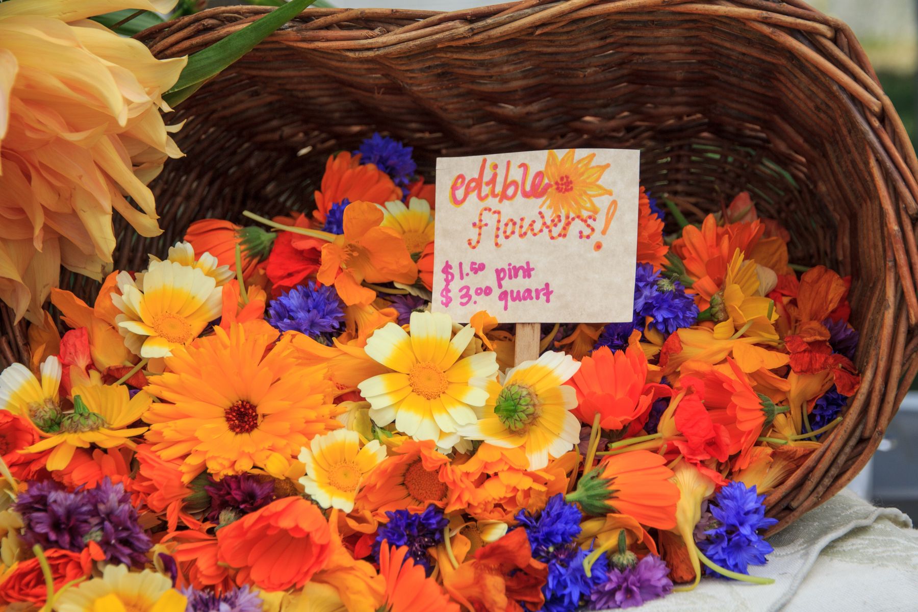 edible flowers sold at Orcas Island Farmers Market