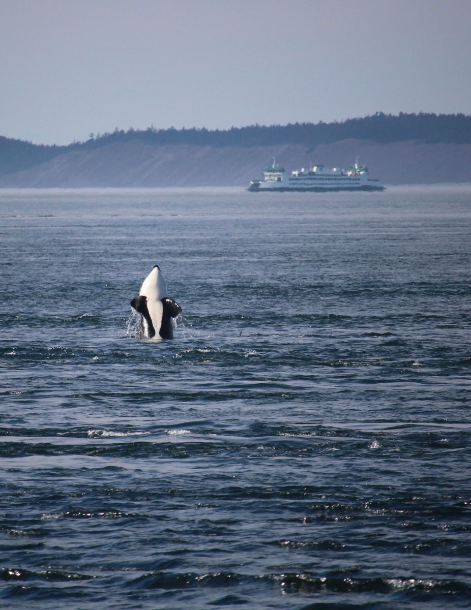 Orcas Island ferry